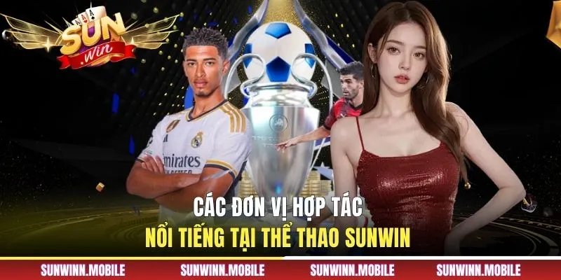 Các đơn vị hợp tác nổi tiếng tại thể thao Sunwin