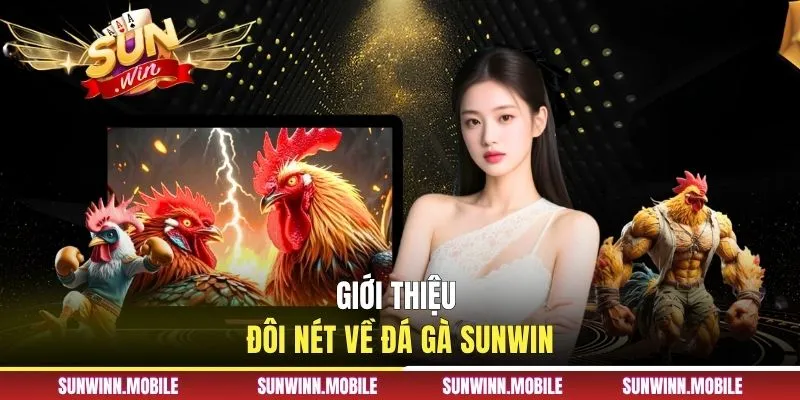 Giới thiệu đôi nét về đá gà Sunwin