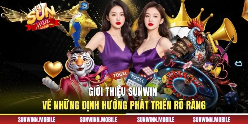 Giới thiệu Sunwin về những định hướng phát triển rõ ràng