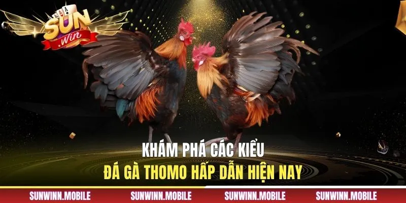 Khám phá các kiểu đá gà Thomo hấp dẫn hiện nay