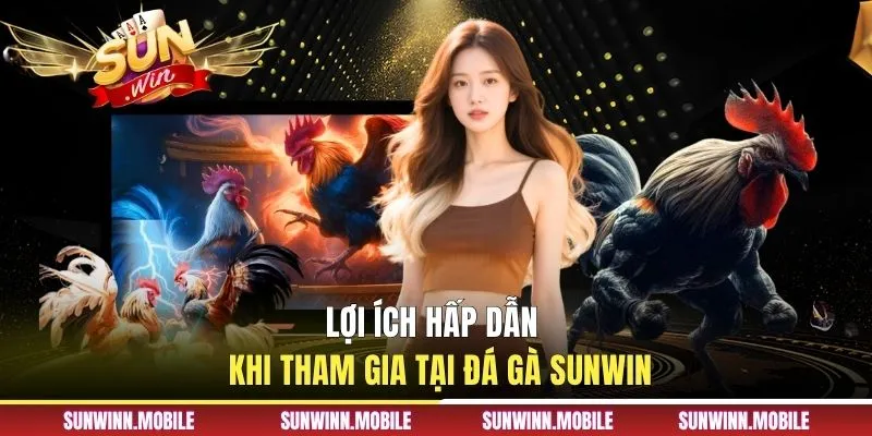 Giới thiệu đôi nét về đá gà Sunwin