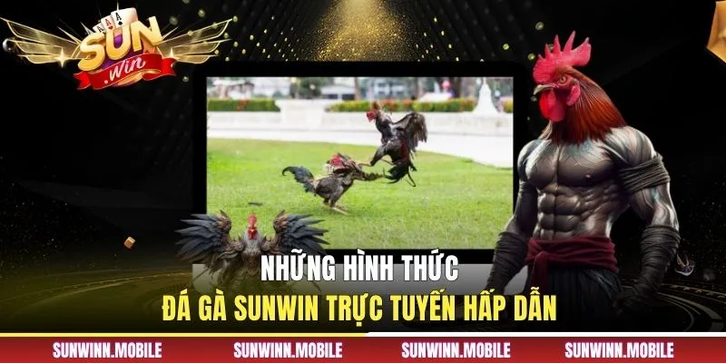 Những hình thức đá gà Sunwin trực tuyến hấp dẫn