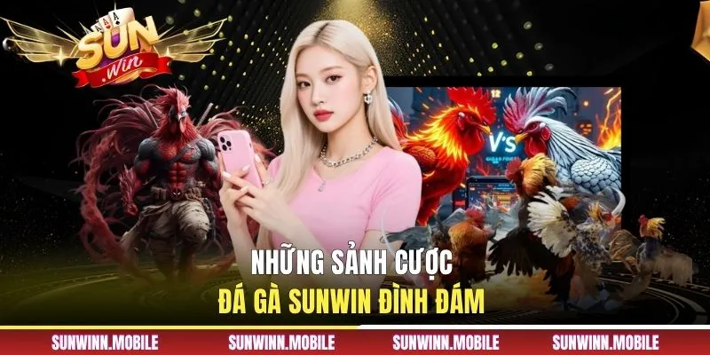 Những sảnh cược đá gà Sunwin đình đám