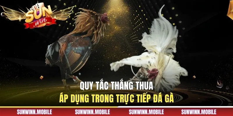Quy tắc thắng thua áp dụng trong trực tiếp đá gà