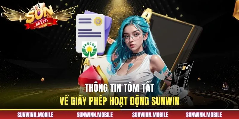 Thông tin tóm tắt về giấy phép hoạt động Sunwin