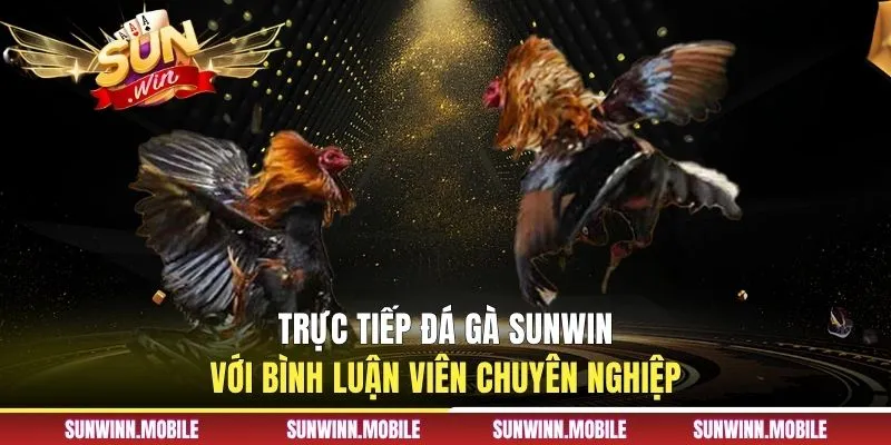 Trực tiếp đá gà Sunwin với bình luận viên chuyên nghiệp